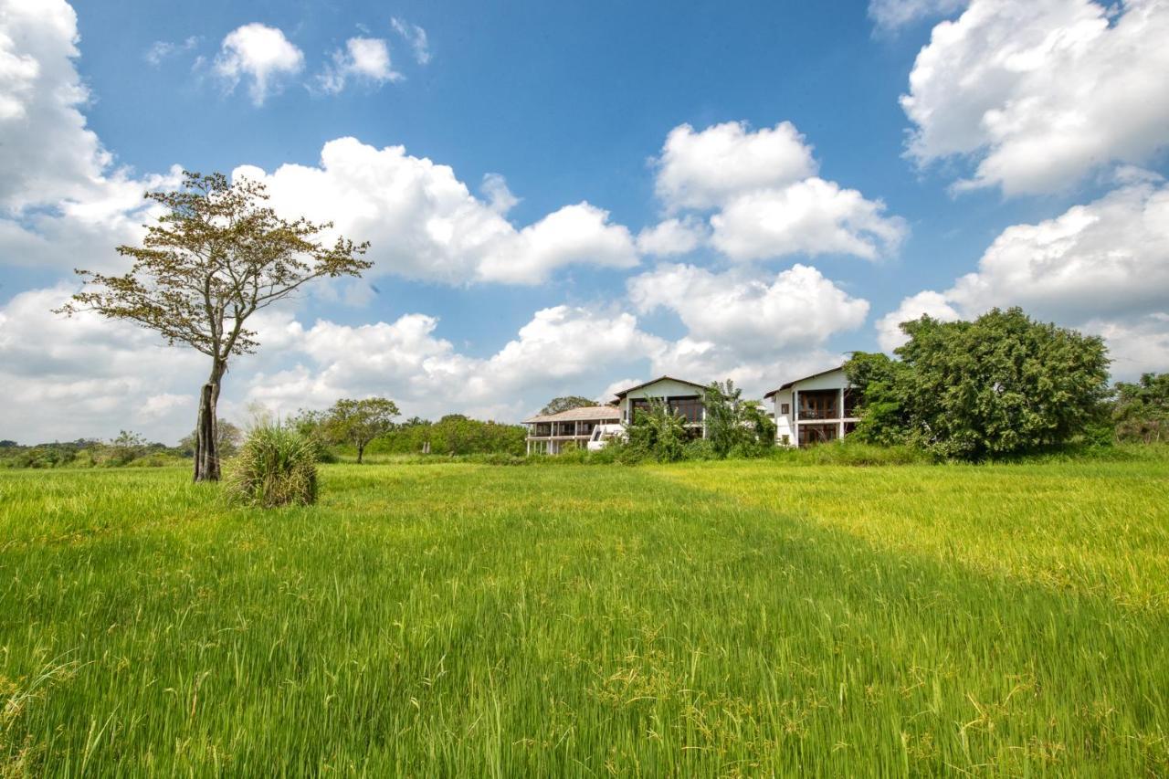 Ceylon Breeze Sigiriya Hotell Eksteriør bilde